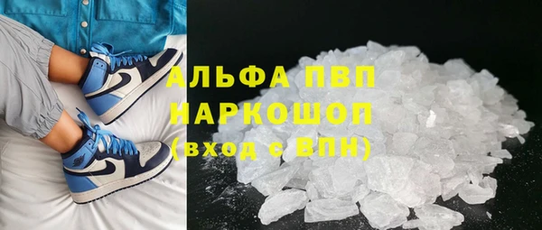 СК Алзамай