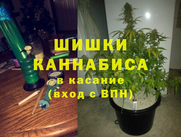 круглые Пересвет