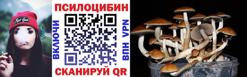 Галлюциногенные грибы Psilocybine cubensis Пошехонье