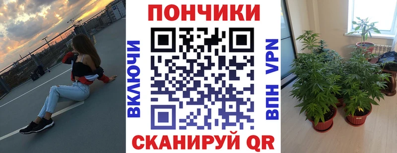 Конопля марихуана  Пошехонье 